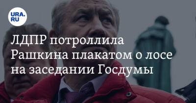 ЛДПР потроллила Рашкина плакатом о лосе на заседании Госдумы