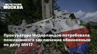 Тейс Бергер - Прокуратура Нидерландов потребовала пожизненного заключения обвиняемым по делу MH17 - vm.ru - Голландия