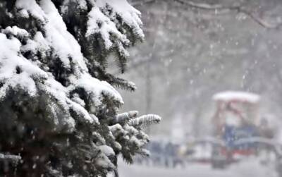 Завалит снегом по пояс: синоптики уточнили прогноз погоды на Новый год