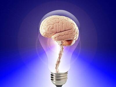Ученые вырастили в пробирке мозг человека и получили удивительные результаты