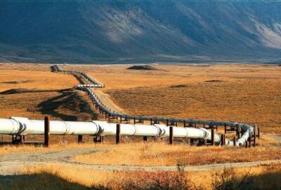 Азербайджан огласил объëм поставок газа и инвестиций в Турцию