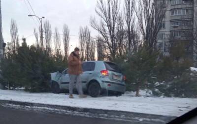 В Киеве автомобиль врезался в елочный базар