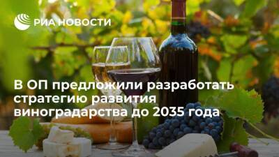 Член ОП Абажер предложил разработать стратегию развития виноградарства до 2035 года