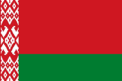 В парламенте Белоруссии заявили о внешних силах, уничтожающих белорусскую государственность