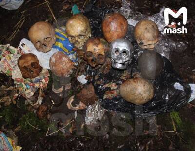 В Калининграде рыбаки нашли человеческие черепа в двух спортивных сумках