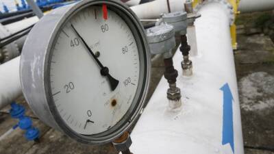 В ФРГ заявили о заполненности своих газохранилищ на уровне менее 60%