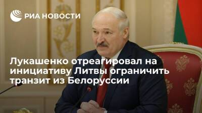 Президент Лукашенко пригрозил Литве последствиями при ограничении транзита из Белоруссии
