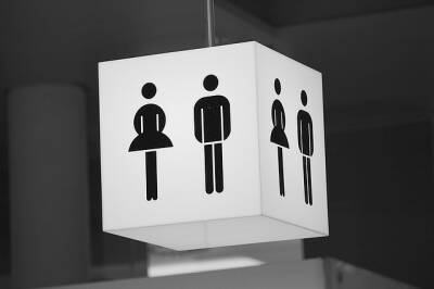 Новосибирский депутат не одобрил открытие гендерно-нейтрального туалета в гимназии
