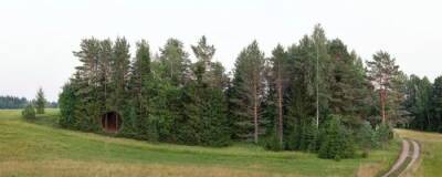 Необычная «дыра» в эстонском лесу чуть не стала мировой сенсацией