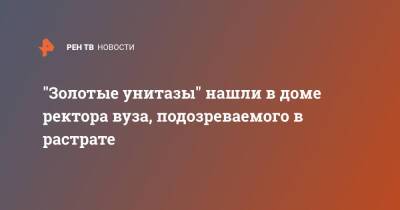 "Золотые унитазы" нашли в доме ректора вуза, подозреваемого в растрате