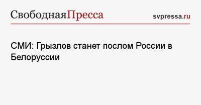 СМИ: Грызлов станет послом России в Белоруссии