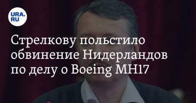 Стрелкову польстило обвинение Нидерландов по делу о Boeing MH17