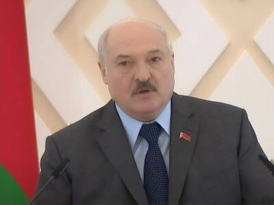 Лукашенко заявил о задержании в Беларуси семи человек за попытку совершить теракты