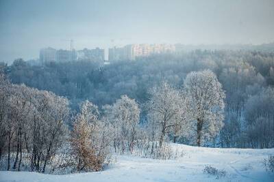 Насколько холодно будет завтра в Смоленской области