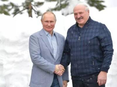 Песков анонсировал предновогоднюю встречу Путина и Лукашенко в Петербурге