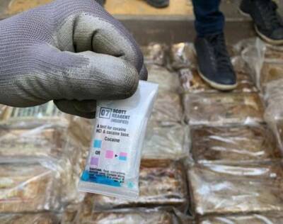 На Одесчине будут судить кокаиновых контрабандистов