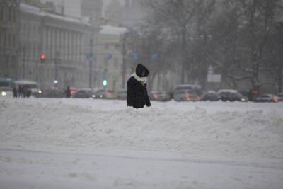 Сильный ветер и снегопад ожидаются в Петербурге 23 декабря