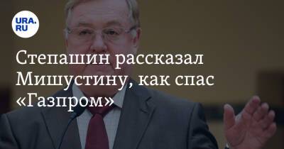 Степашин рассказал Мишустину, как спас «Газпром»