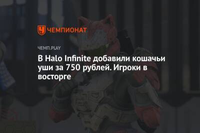 В Halo Infinite добавили кошачьи уши за 750 рублей. Игроки в восторге
