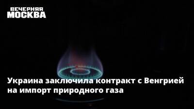Украина заключила контракт с Венгрией на импорт природного газа