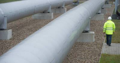 Песков призвал не политизировать процесс сертификации газопровода СП-2