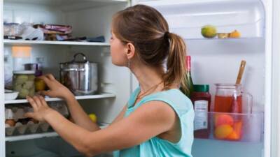 Главная проблема Германии: как избежать перегрева холодильника