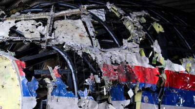 Лавров назвал неприемлемыми попытки представить дело MH17 как государственную проблему