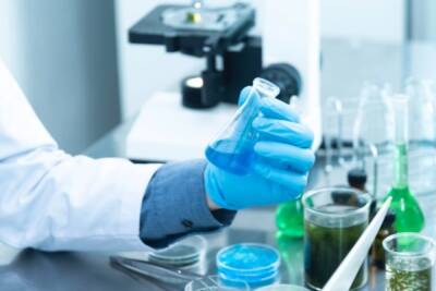 Российские ученые разработают препарат на основе антител против омикрона