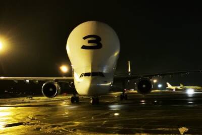 В Толмачёво приземлился гигантский грузовой самолёт Airbus Beluga в виде белого кита