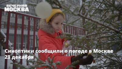 Синоптики сообщили о погоде в Москве 23 декабря