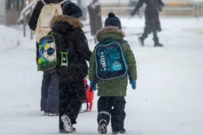 Костромские школьные радости: вчера в двух районах области из-за морозов отменили занятия