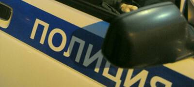 В Карелии пьяный водитель угрожал полицейским, сидя в кабине патрульной машины