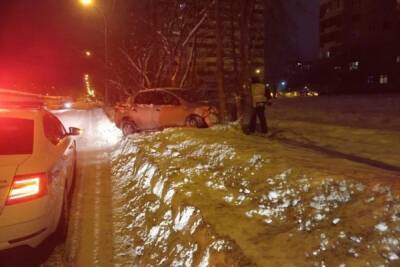 Renault в Екатеринбурге врезался в дерево, пострадала девочка-пассажир