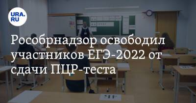 Рособрнадзор освободил участников ЕГЭ-2022 от сдачи ПЦР-теста