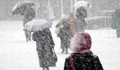 Горожане готовятся к сильному снегопаду в Петербурге