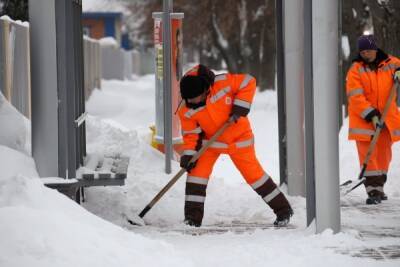 Аналитики сообщили о росте спроса на услуги снегоуборщиков в России