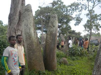 Фаллические стелы в Эфиопии оказались старше на 1000 лет