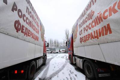 Россия доставит более 180 тонн гумпомощи жителям Донбасса