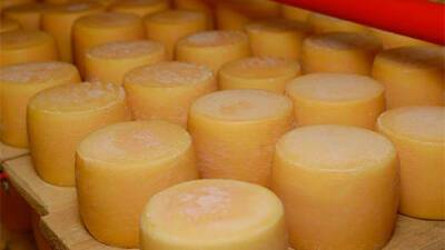 В Украине проведут спецрасследование тносительно импорта некоторых видов сыров