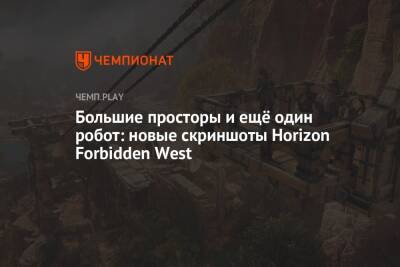 Большие просторы и ещё один робот: новые скриншоты Horizon Forbidden West