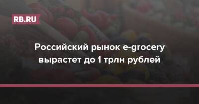 Российский рынок e-grocery вырастет до 1 трлн рублей