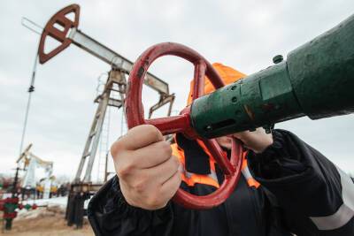 На Украине заявили об истощении крупнейших месторождений газа