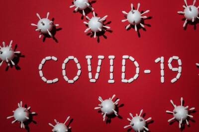 В Ленобласти за день выявили 353 инфицированных коронавирусом