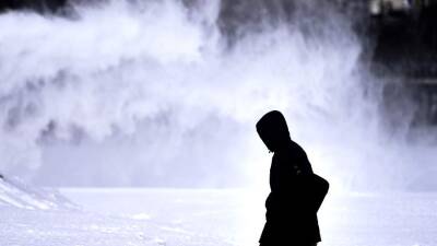 Метеоролог объяснила появление «ледяных игл» в Москве