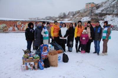 Жители Корсакова собрали подарки для бездомных животных