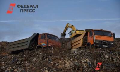 При рекультивации мусорного полигона в Петербурге похитили 150 млн