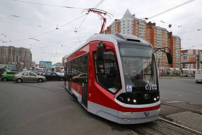 Трамвайную линию «Купчино – Славянка» хотят продлить до кампуса СПбГУ