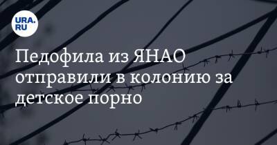 Педофила из ЯНАО отправили в колонию за детское порно