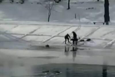 В Киеве ребенок провалился под лед, на помощь бросилась собака: момент попал на видео