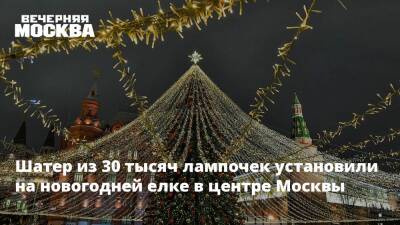 Шатер из 30 тысяч лампочек установили на новогодней елке в центре Москвы